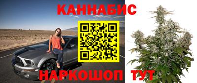 ешки Аргун