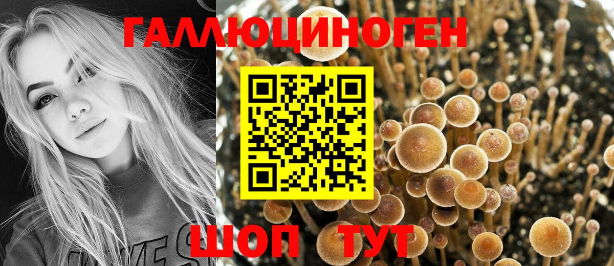Благодарный  Псилоцибиновые грибы Magic Shrooms  Вход с VPN 